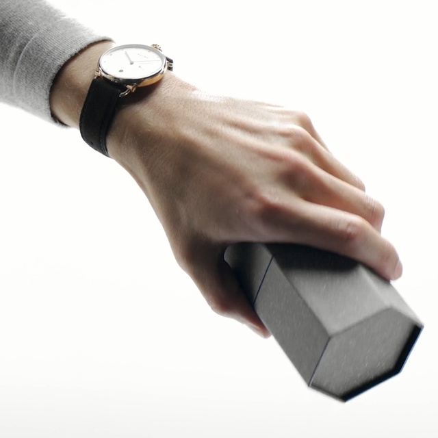 Video Reference: product, hand, product, watch