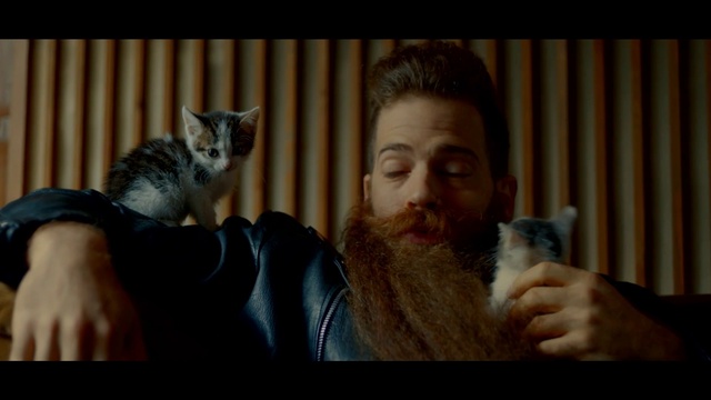 Video Reference: Cat, Facial hair, Facial expression, Felidae, Whiskers, Beard, Nose, Head, Human, Small to medium-sized cats