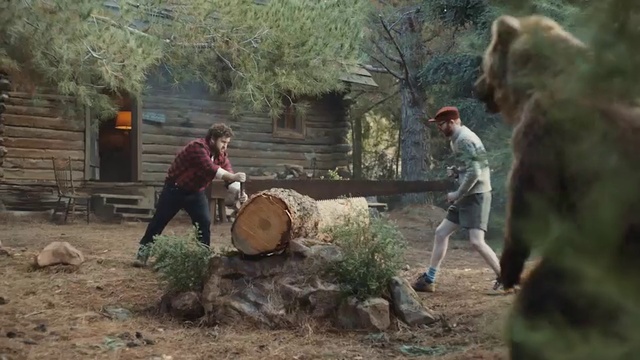 Video Reference: Tree, Tree stump, Woody plant, Logging, Woodland, Trunk, Lumberjack, Plant, Adaptation, Woodsman