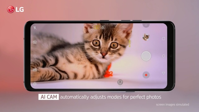 Video Reference: cat, small to medium sized cats, fauna, cat like mammal, photo caption, whiskers, kitten, technology, font, media