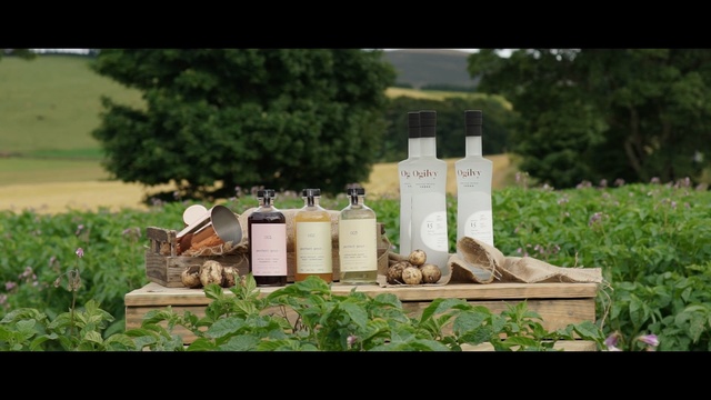 Video Reference: tree, grass, plant, farm