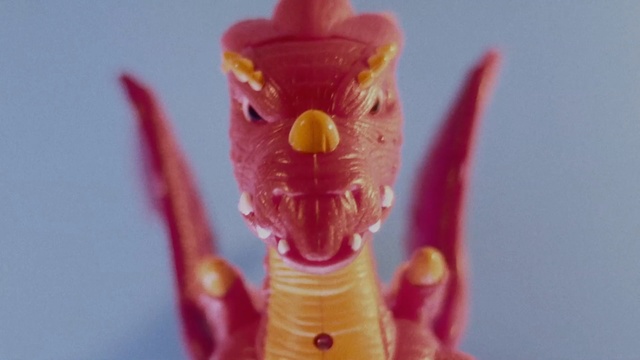 Video Reference: close up, macro photography, organism, Person