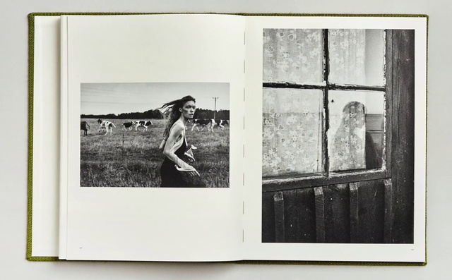 Video Reference: Photograph, White, Photographic paper, Picture frame, Snapshot, Room, Photography, Black-and-white, Art, Stock photography, Person