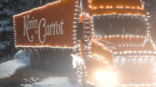 Video Reference: snow, light, winter, lighting, ice, night, freezing