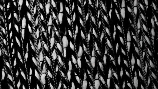 Video Reference: tree, woody plant, bamboo, plant, forest, vascular plant, branch, landscape, silhouette, branches