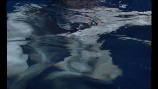 Video Reference: Water, Sky, Atmosphere, Cloud, Geological phenomenon, Reflection, Ocean, Sea, Ice, Space, Sitting, Monitor, Man, Dark, Holding, Blurry, Television, White, Computer, Laptop, Bird, Large, Room, Cat, Standing, Video, Laying, Flying, Swimming, Text, Nature, Landscape