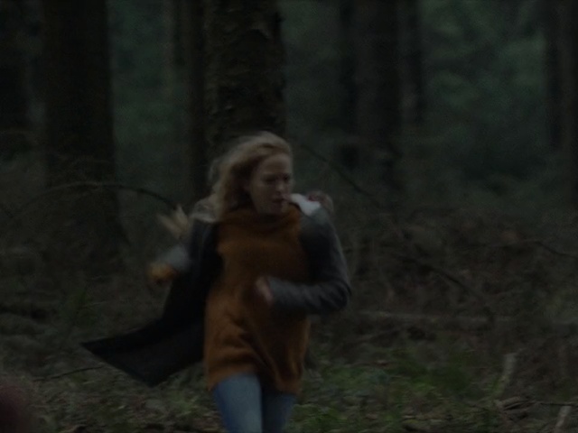 Video Reference: Photograph, Natural environment, Forest, Lady, Beauty, Tree, Woodland, Biome, Screenshot, Human, Person