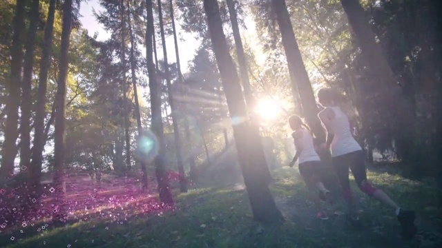 Video Reference: Nature, Sunlight, Tree, Woodland, Natural environment, Forest, Light, Atmospheric phenomenon, Morning, Sky