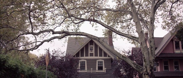 Video Reference: Tree, House, Home, Property, Branch, Siding, Building, Woody plant, Architecture, Cottage