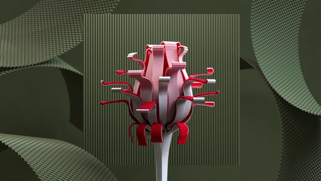 Video Reference: Red, Plant, Illustration, Flower, Art