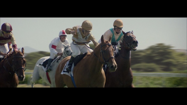 Video Reference: Horse, Jockey, Bridle, Animal sports, Halter, Rein, Endurance riding, Horse racing, Equestrian sport, Recreation, Riding, Man, Sitting, Couple, Different, Racing, People, Group, Field, Standing, Beach, Animal, Person, Mammal