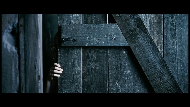 Video Reference: Black, Wood, Darkness, Still life photography, Photography, Atmosphere, Tree, Architecture, Shed, Black-and-white