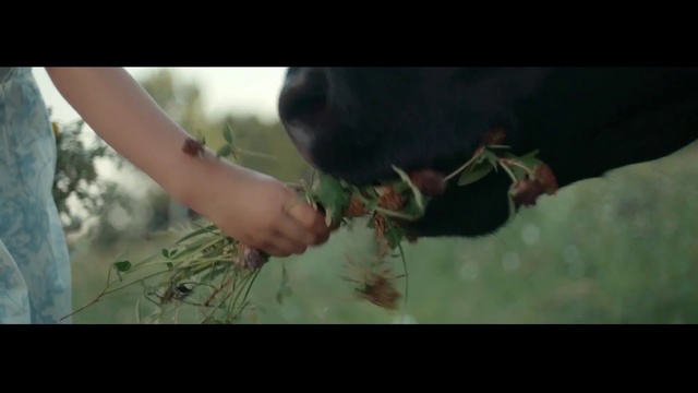 Video Reference: Leaf, Organism, Plant, Fun, Grass, Adaptation, Hand, Photography, Flower, Wildlife