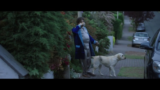 Video Reference: Mammal, Dog, Vertebrate, Canidae, Dog breed, Carnivore, Dog walking, Golden retriever, Sporting group, Tree, Man, Looking, Standing, White, Front, Small, Sitting, Walking, Woman, Leash, Cat, Holding, Game, Red, Animal