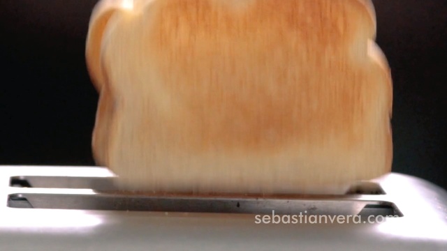 Video Reference: Chin, Neck, Indoor, Sitting, Table, Computer, Looking, Close, Laptop, Front, Food, Brown, Monitor, Keyboard, Desk, Television, Screen, White, Laying, Oven, Remote, Coffee, Cat