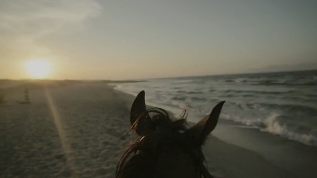 Video Reference: Horse, Sea, Ocean, Sky, Horizon, Mustang horse, Calm, Photography, Trail riding, Mane