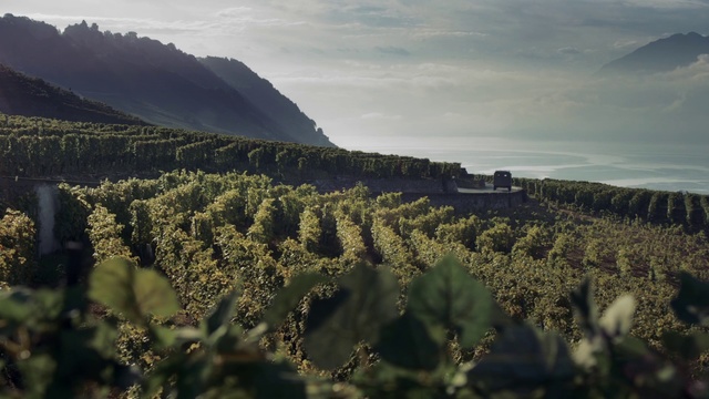 Video Reference: Sky, Vegetation, Atmospheric phenomenon, Wilderness, Tree, Mountain, Field, Cloud, Hill, Chaparral