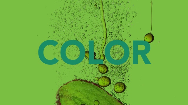 Video Reference: Green, Text, Font, Graphic design, Circle, Organism, Plant, Illustration, Graphics, Number