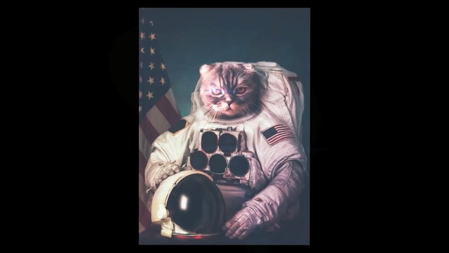 Video Reference: Astronaut, Darkness, Photography, Art, Canidae, Space, Illustration