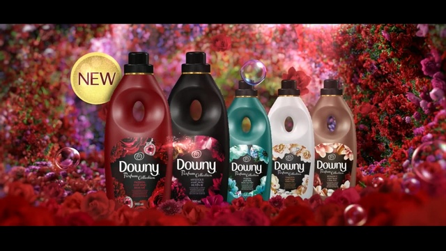 Video Reference: computer wallpaper, graphics, font, product, petal