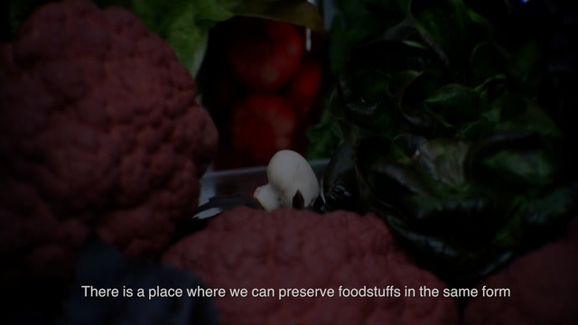 Video Reference: Red, Organism, Leaf, Mouth, Plant, Darkness, Petal, Photography, Still life photography, Fictional character, Person