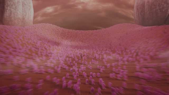 Video Reference: Pink, Skin, Purple, Close-up, Sky, Mouth, Flesh, Muscle, Magenta, Petal