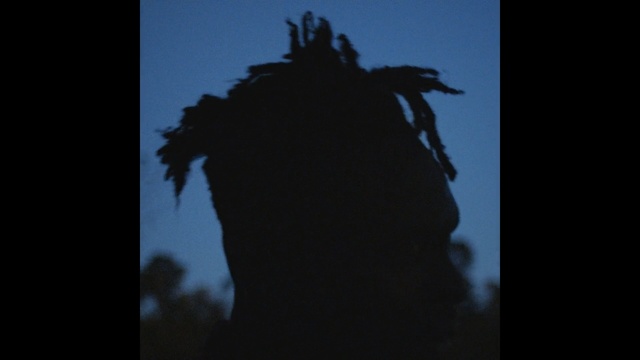 Video Reference: Black, Sky, Backlighting, Silhouette, Darkness, Photography, Tree, Shadow, Statue, Dark, Looking, Watching, Front, Bird, Standing, Sign, Holding, Someone, Lit, Sitting, Red, Cloudy, Man, Street, Screen, Television, Stop, Air, White, Traffic, Flying, Tall, Staring