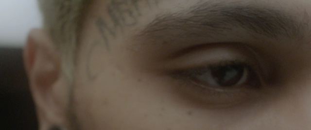 Video Reference: Eyebrow, Face, Eye, Eyelash, Skin, Iris, Close-up, Organ, Nose, Forehead