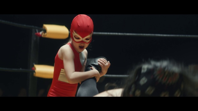 Video Reference: Boxing, Sport venue, Combat sport, Boxing ring, Contact sport, Individual sports, Striking combat sports, Professional wrestling, Boxing glove, Sanshou