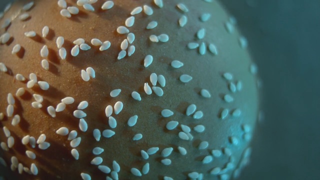 Video Reference: Blue, Water, Organism, Macro photography, Pattern, Marine biology, Food