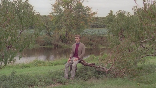 Video Reference: tree, ecosystem, nature reserve, plant, wetland, grass, bank, grass family, shrubland, plant community