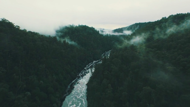 Video Reference: nature, green, water, tree, water resources, mountain, river, mist, sky, forest