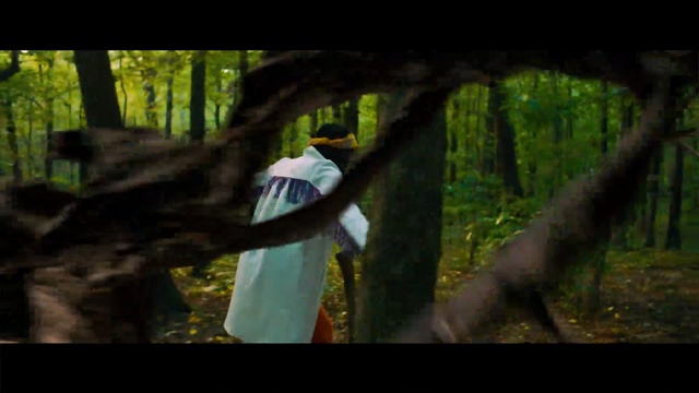 Video Reference: nature, tree, woodland, forest, ecosystem, green, old growth forest, wilderness, jungle, woody plant