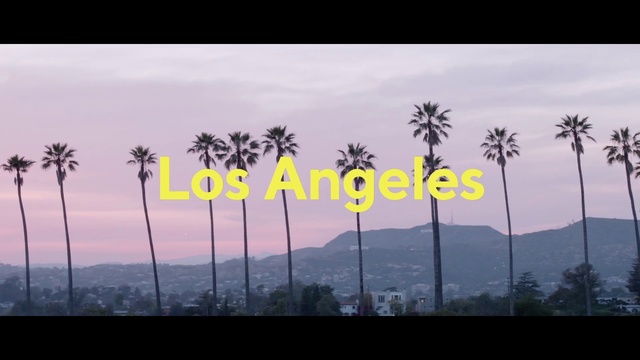 Video Reference: Tree, Nature, Sky, Palm tree, Atmospheric phenomenon, Vegetation, Arecales, Morning, Plant, Woody plant