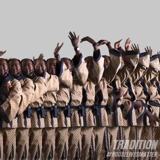 Video Reference: Water bird, Bird