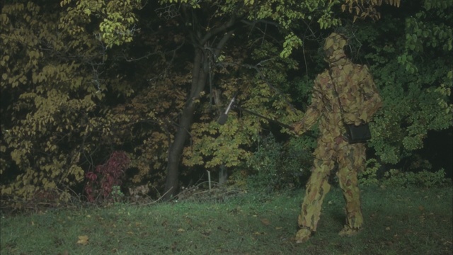 Video Reference: vegetation, ecosystem, tree, woodland, forest, nature reserve, grove, leaf, old growth forest, branch