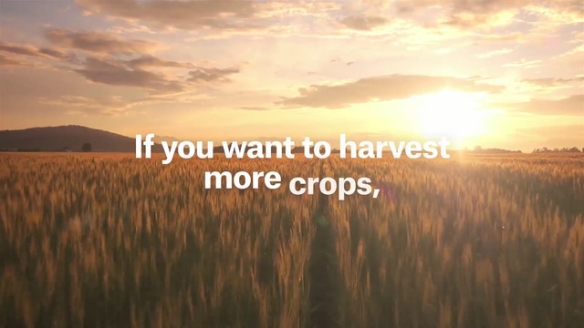Video Reference: Nature, Natural landscape, Text, Sky, Morning, Font, Field, Grass, Prairie, Evening, Person
