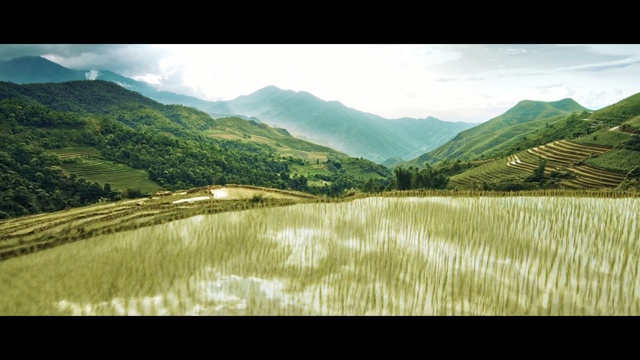 Video Reference: nature, highland, field, mountainous landforms, grassland, paddy field, mount scenery, agriculture, mountain, hill station