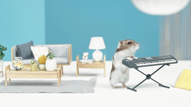 Video Reference: Table, Furniture, Room, Interior design, Desk, Coffee table, Wallpaper, Fawn, Person