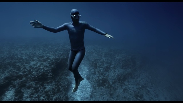 Video Reference: underwater, atmosphere, water, sky, darkness, screenshot, freediving, organism, diving, underwater diving