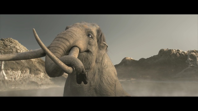 Video Reference: elephants and mammoths, elephant, indian elephant, mammal, fauna, wildlife, tusk, african elephant, sky, terrestrial animal