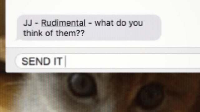 Video Reference: Text, Font, Eye, Nose, Close-up, Line, Organ, Snout, Cat, Eyelash