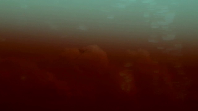 Video Reference: Atmospheric phenomenon, Nature, Orange, Sky, Atmosphere, Horizon, Morning, Brown, Water, Mist