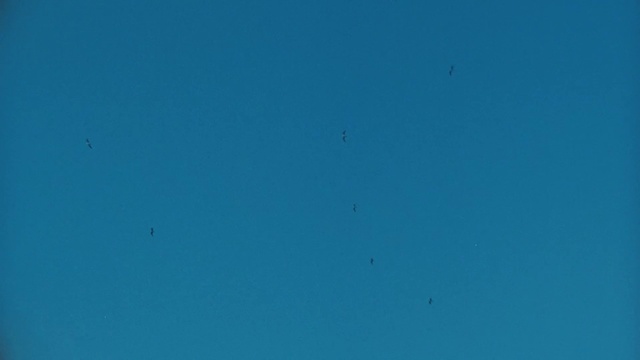 Video Reference: Blue, Sky, Aqua, Green, Turquoise, Daytime, Azure, Teal, Atmosphere, Organism