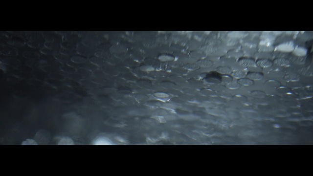 Video Reference: water, black, atmosphere, drop, light, rain, darkness, moisture, freezing, sky