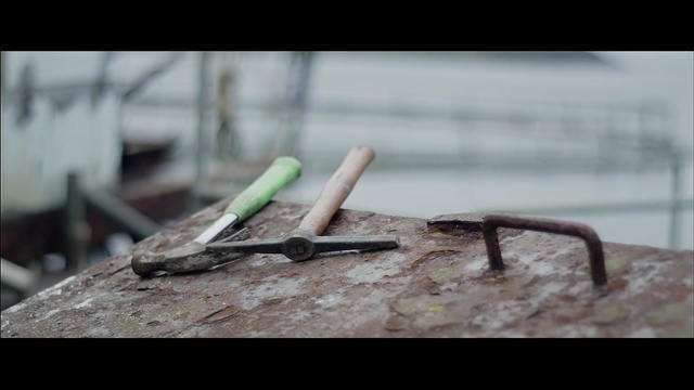 Video Reference: Wood, Branch, Insect, Twig, Driftwood, Photography, Stock photography, Plant, Mantis, Plant stem