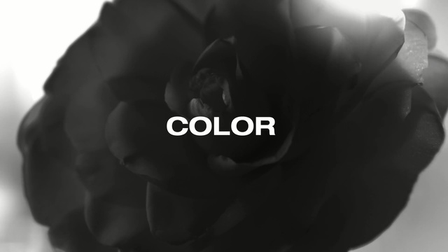 Video Reference: Black, White, Black-and-white, Monochrome photography, Tire, Photography, Font, Automotive tire, Auto part, Black hair