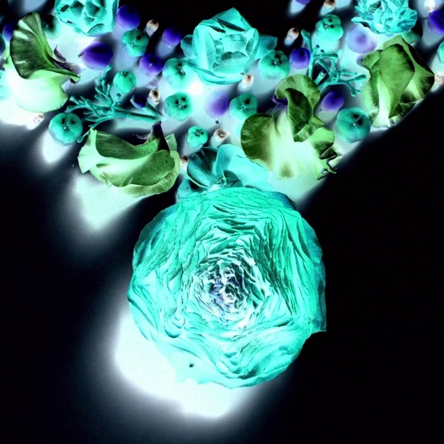 Video Reference: Blue, Aqua, Green, Turquoise, Cobalt blue, Lighting, Flower, Purple, Teal, Leaf, Vase, Bottle, Dark, Table, Sitting, Looking, Black, Colorful, Close, Glass, Holding, White, Painting, Art, Abstract, Rose