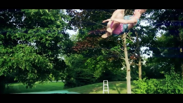 Video Reference: nature, tree, green, plant, flora, woody plant, grass, leaf, branch, leisure