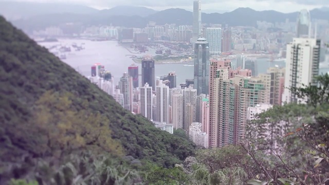 Video Reference: Metropolitan area, Cityscape, Metropolis, Urban area, City, Skyscraper, Skyline, Tower block, Human settlement, Landmark